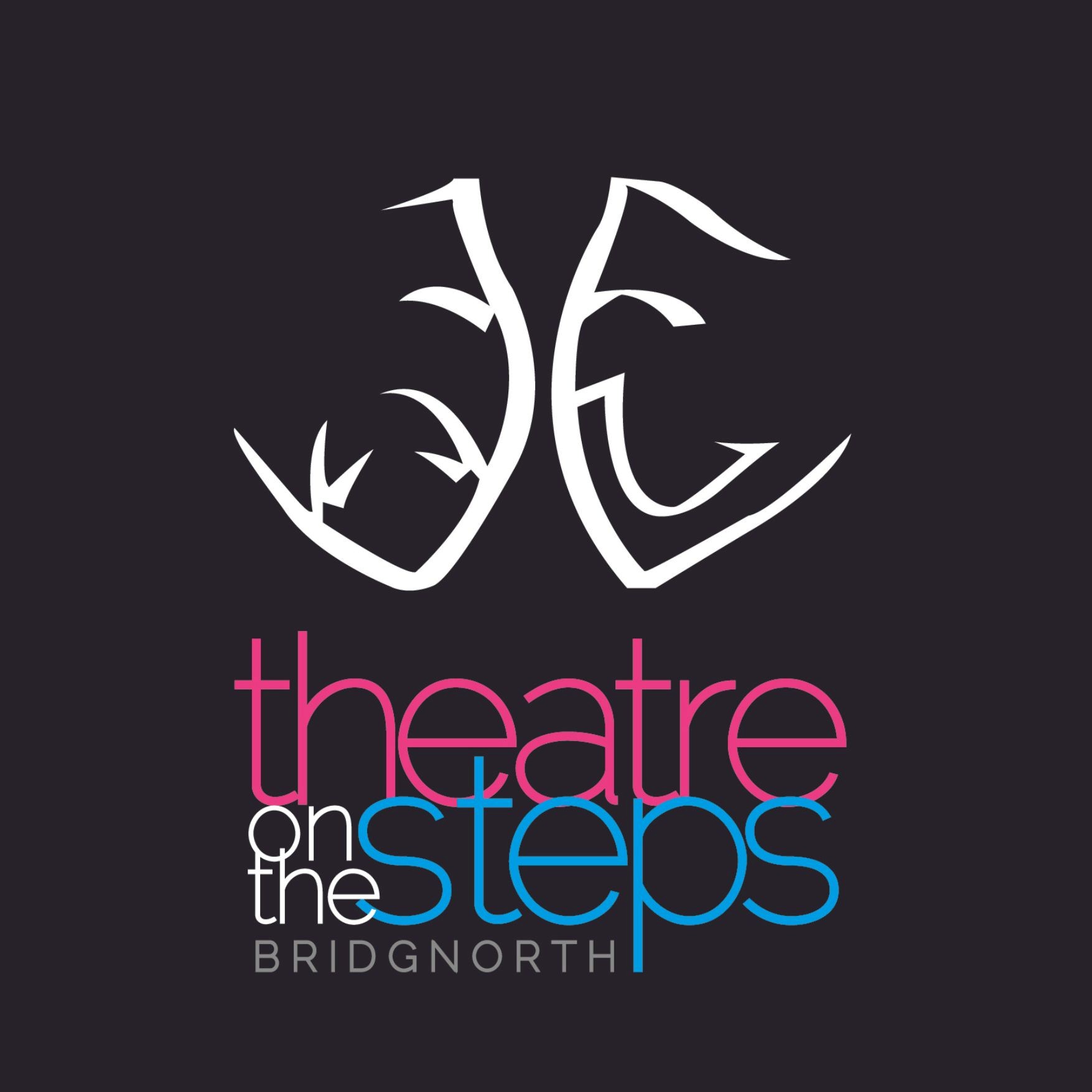 theatre on the steps logo